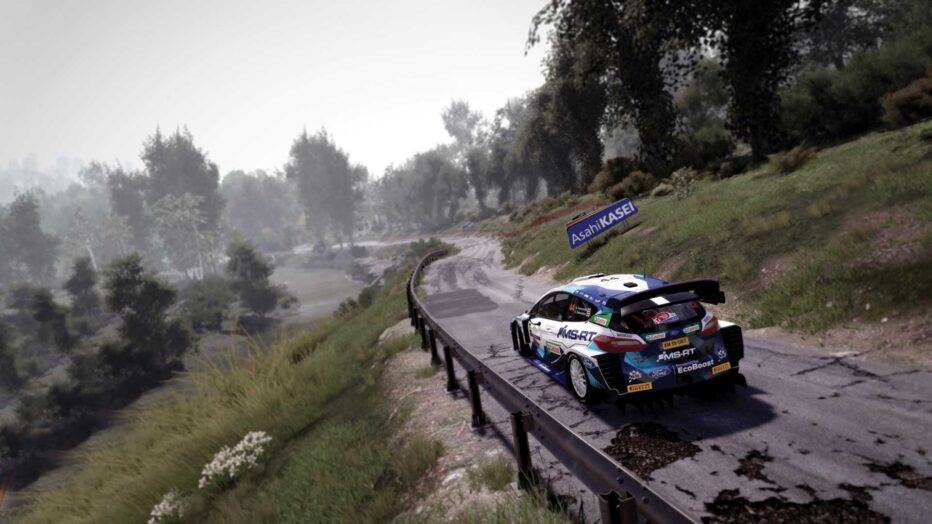 WRC10_Screenshot_06.jpg